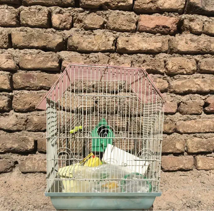 قفس و کیف پرنده|لوازم جانبی حیوانات|تهران, افسریه شمالی|دیوار