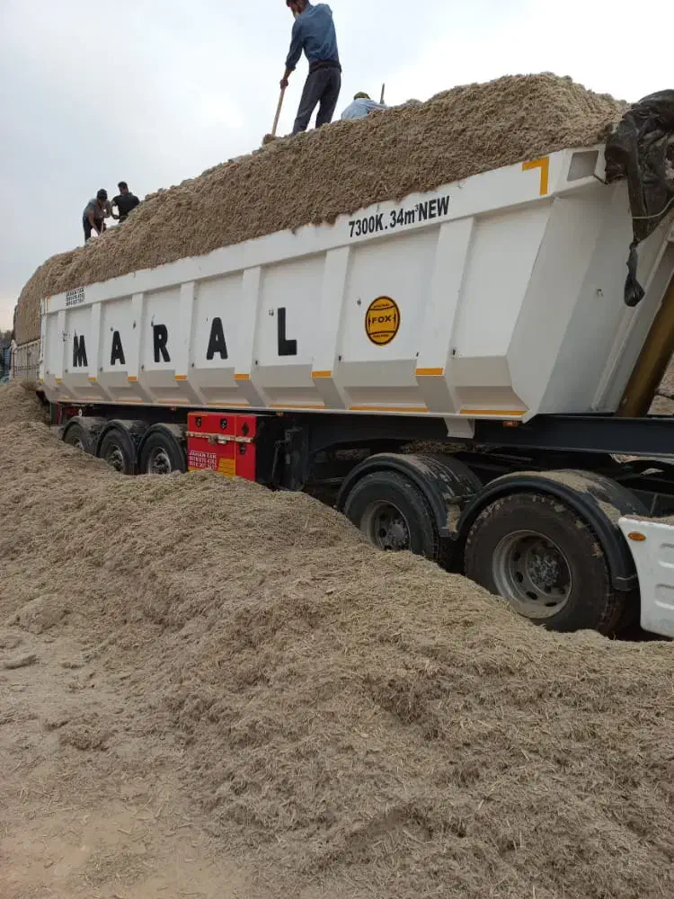 کاه خوارک دام نیشکر تازه یا باگاس|لوازم جانبی حیوانات|قزوین, |دیوار