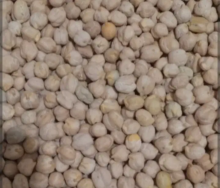 خرید۱۰۰|خوردنی و آشامیدنی|سنقر, |دیوار