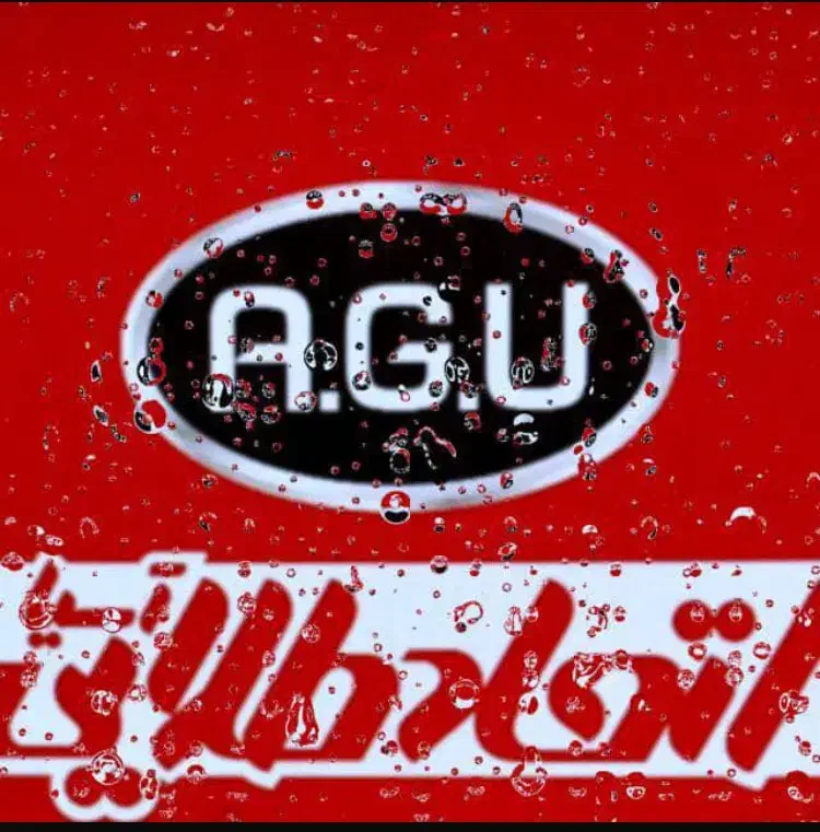 استخدام نیرو شرکت اتحاد طلایی آسیا|استخدام اداری و مدیریت|بندرعباس, |دیوار