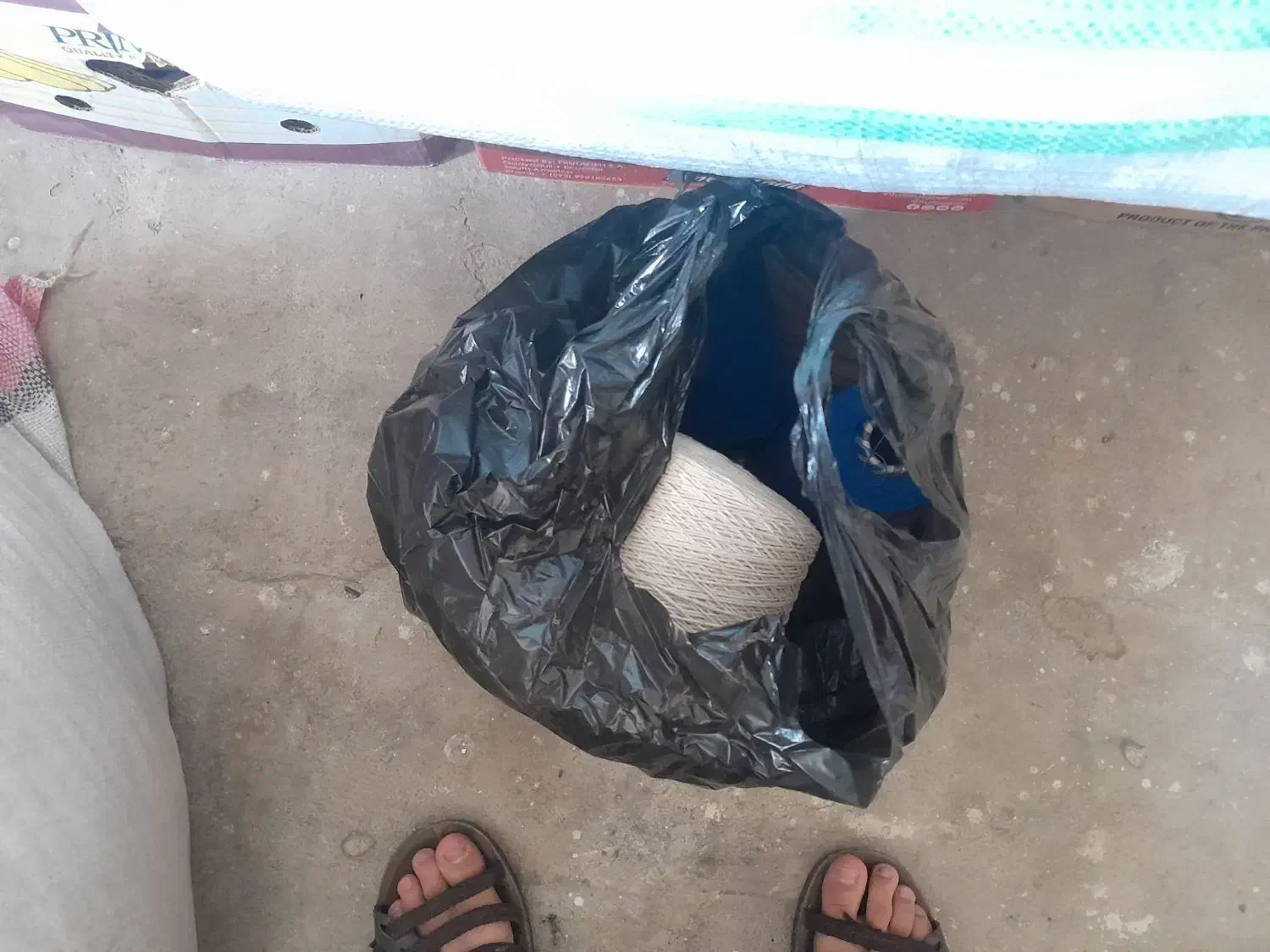 مایه قالی|فرش|شهرکرد, |دیوار