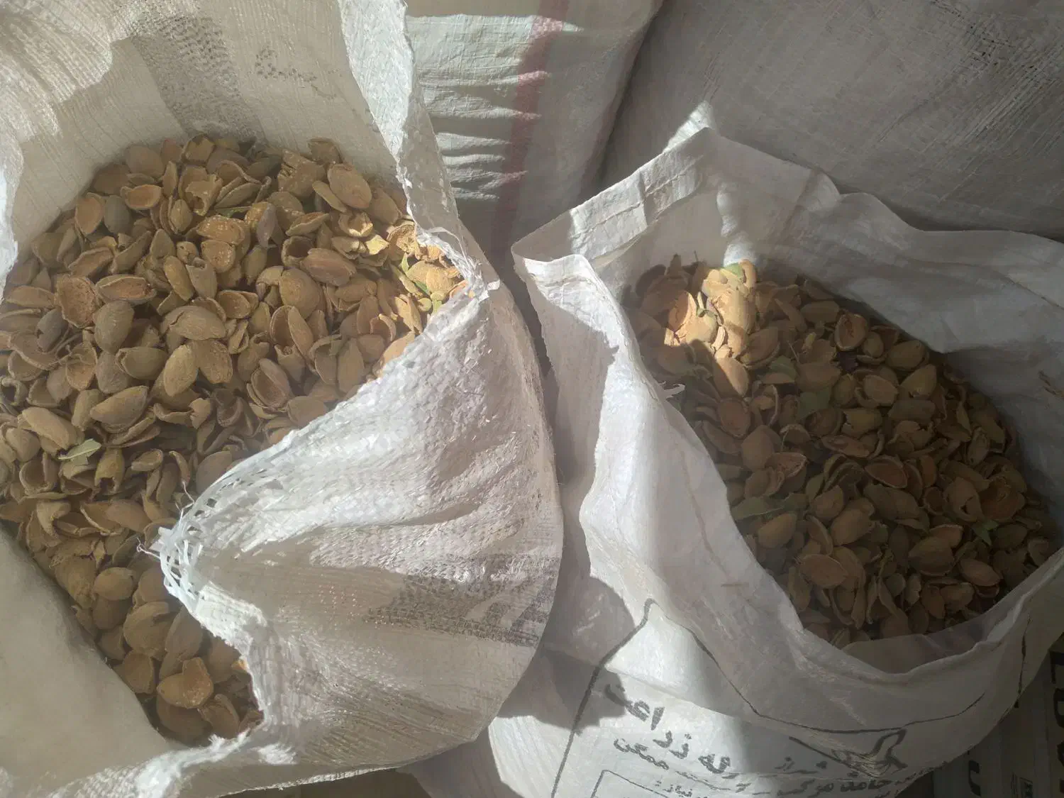 پوسته بادام|عمده‌فروشی|زاینده رود, |دیوار