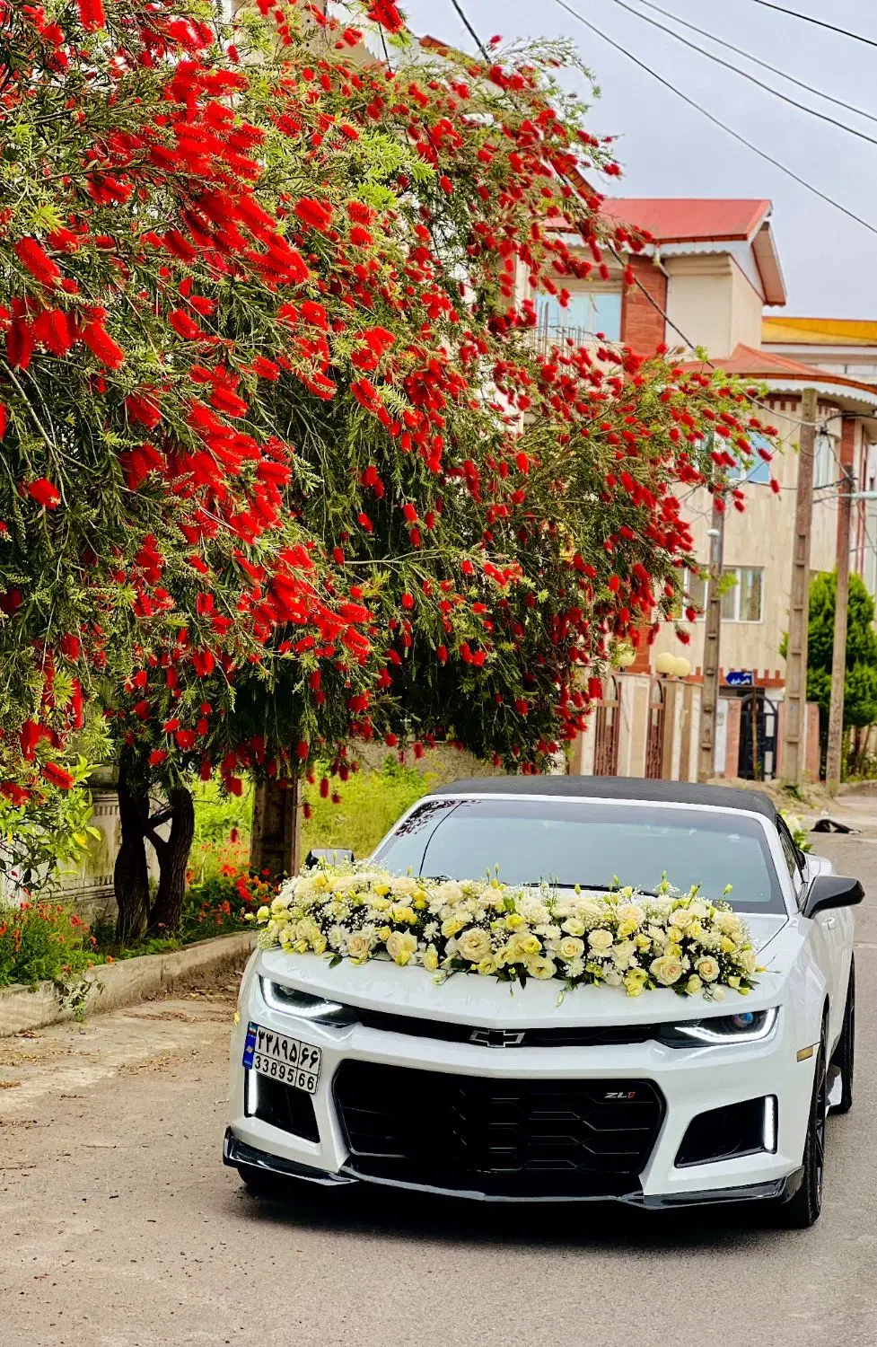 اجاره ماشین عروس شورلت کامارو کروک|خدمات پذیرایی، مراسم|رشت, معلم|دیوار