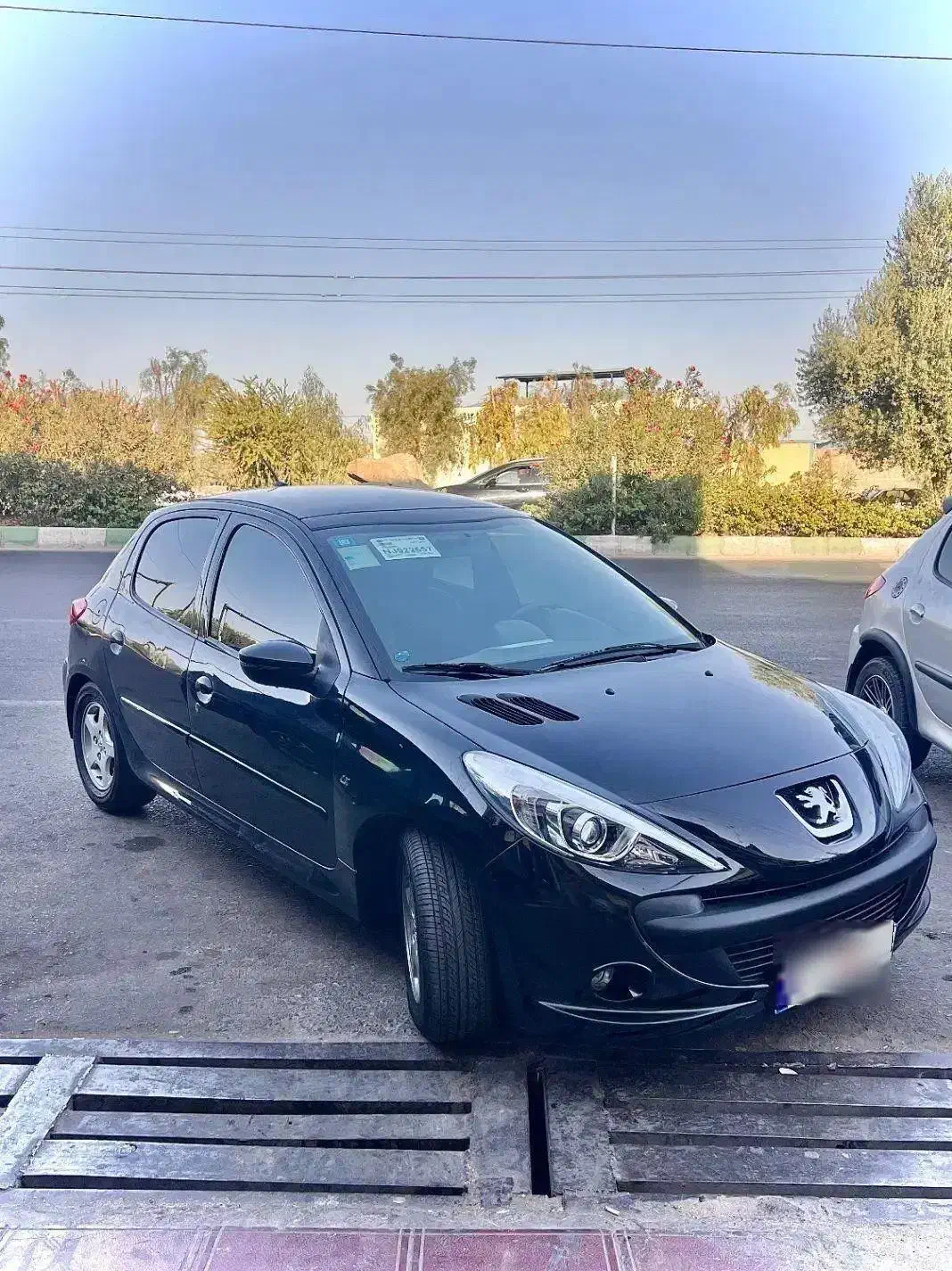 207پانا مدل1401|خودرو سواری و وانت|کاشان, دشت چال|دیوار