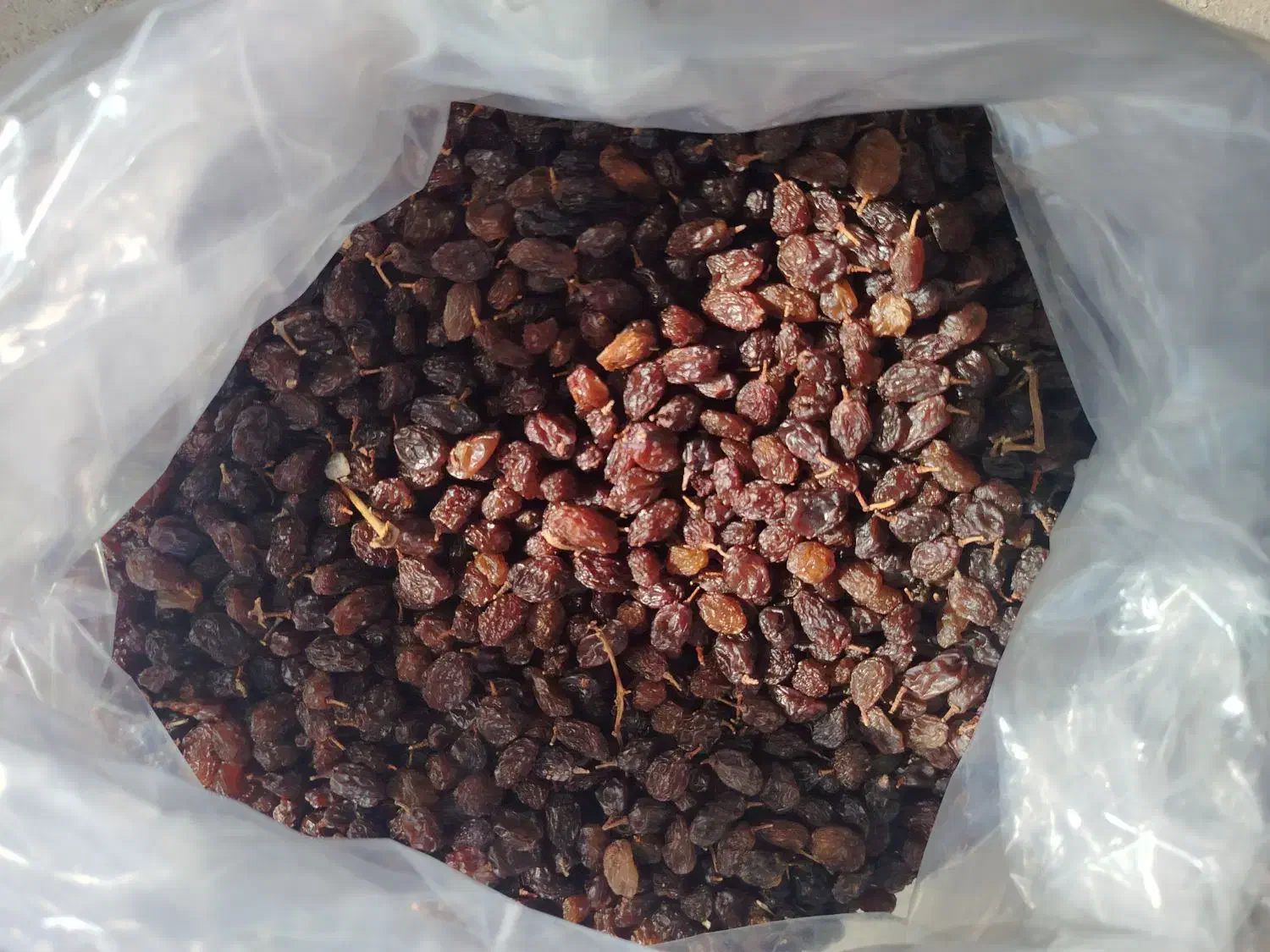 انواع کشمش|خوردنی و آشامیدنی|میاندوآب, |دیوار