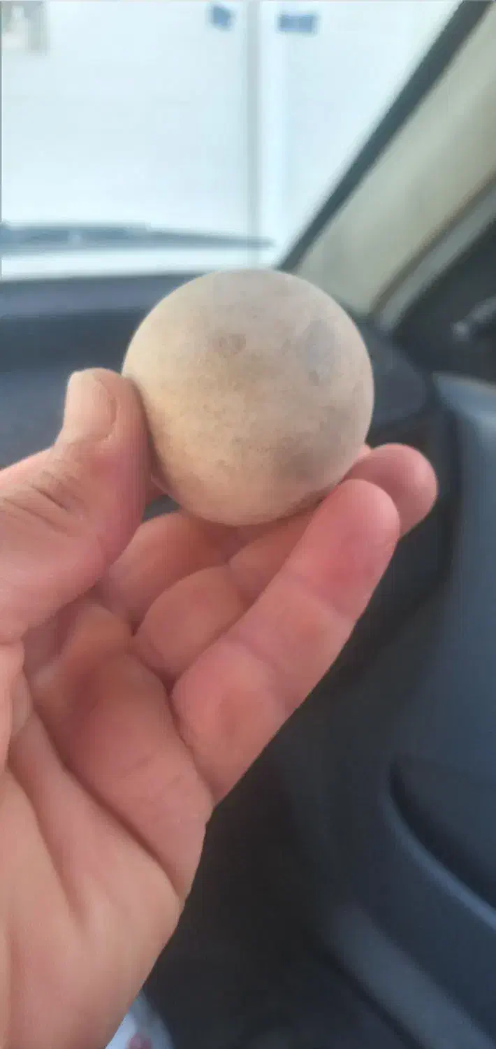 سنگ آسیاب|کلکسیون اشیاء عتیقه|خرمشهر, |دیوار