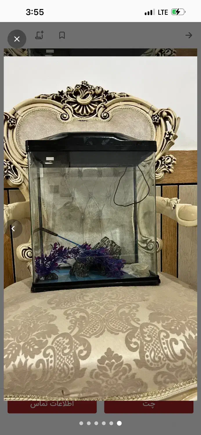 آکواریوم مینیمال|ماهی|اهواز, نادری|دیوار