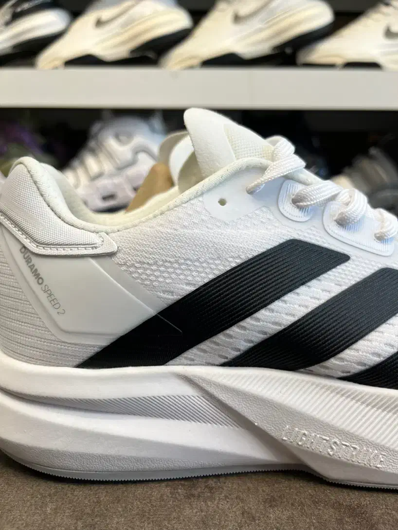 کتونی آدیداس مدل دورامو اسپید ۲ رنگ سفید|کیف، کفش، کمربند|تهران, باشگاه نفت|دیوار