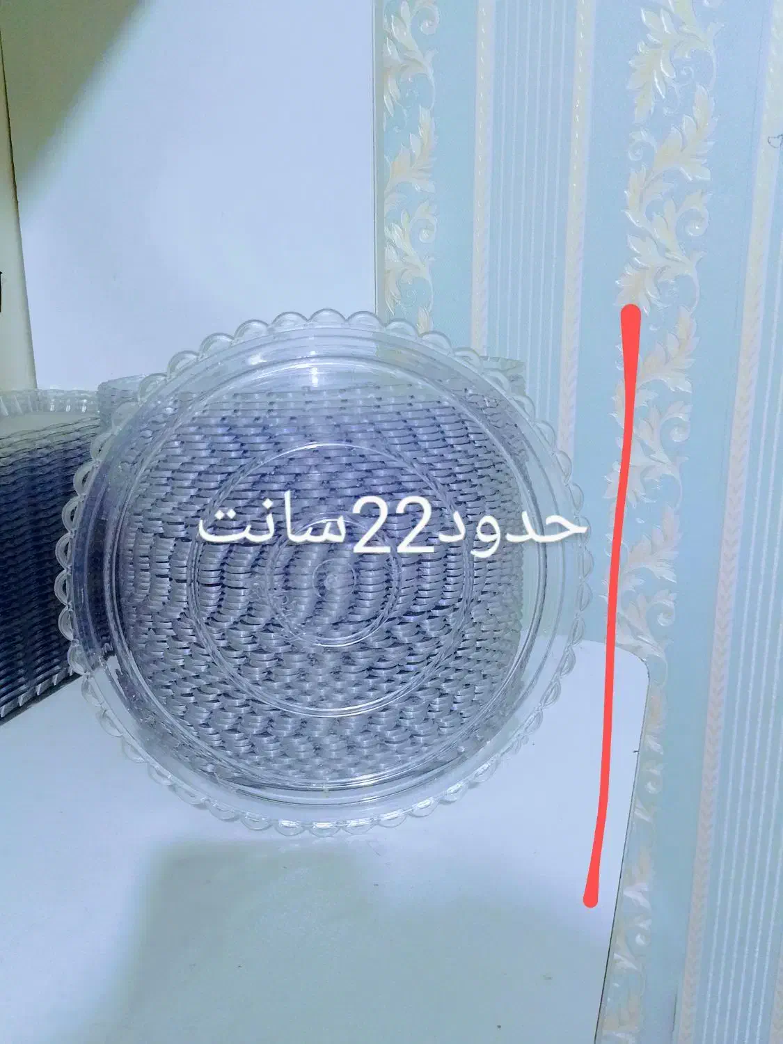 سینی 250 عدد|ظروف نگهدارنده، پلاستیکی، یک‌بارمصرف|تهران, مشیریه|دیوار