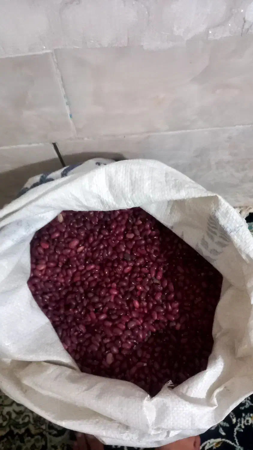 لوبیا قرمز|عمدهفروشی|بیرانوند, |دیوار