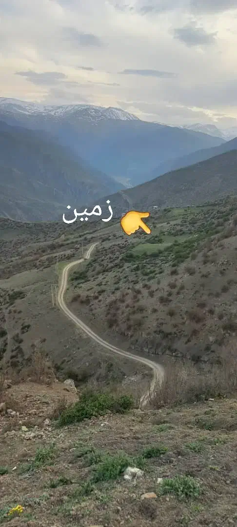 ۱۷۰۰ زمین در آلاشت|فروش زمین و ملک کلنگی|آلاشت, |دیوار