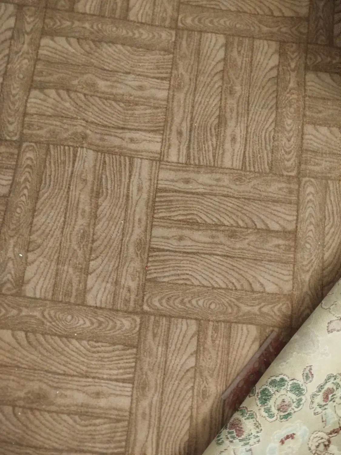 موکت در حد خیلی نو|موکت|سبزوار, امیر کبیر|دیوار