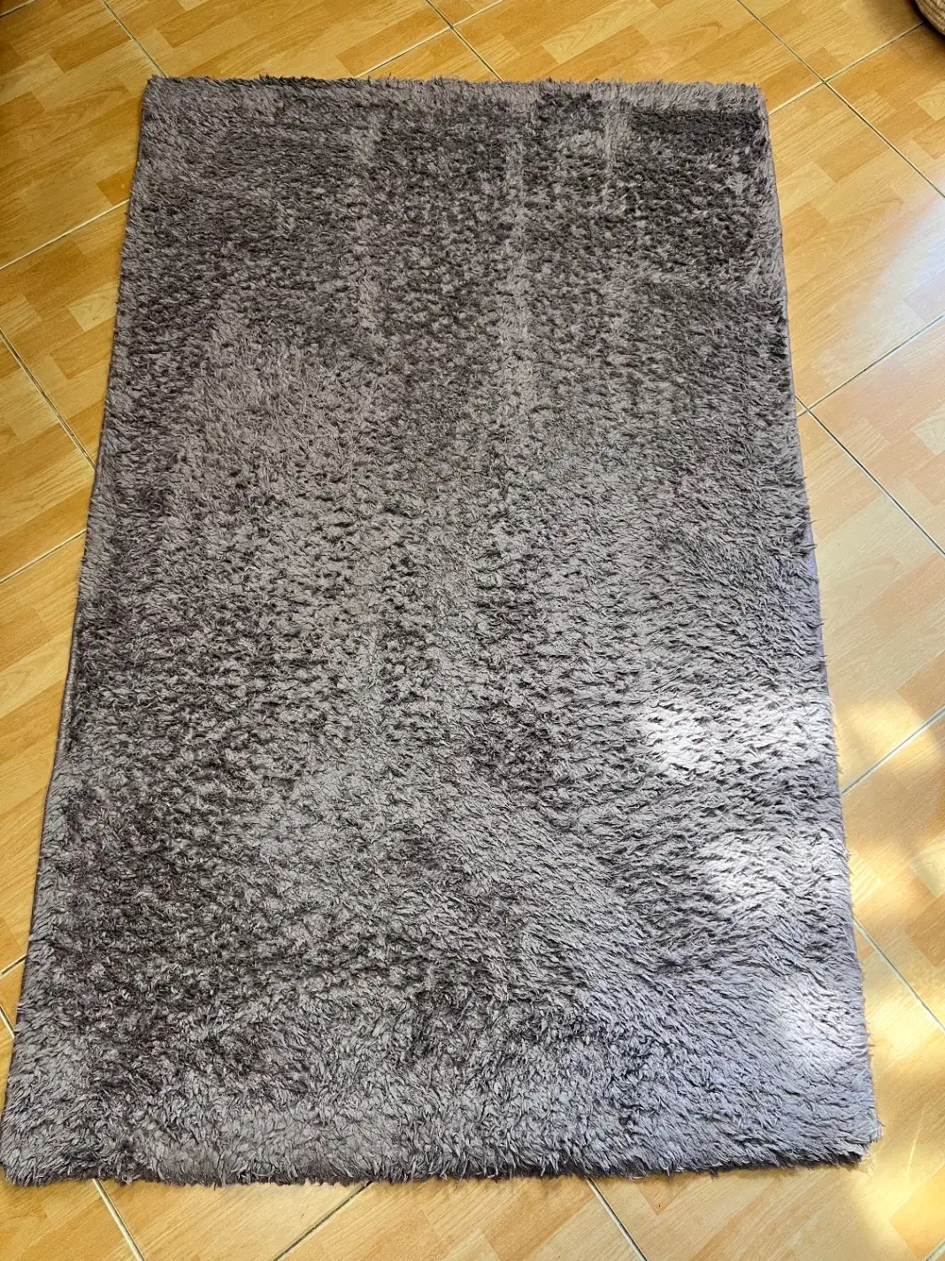 قالیچه|فرش|بندر انزلی, متروپل|دیوار