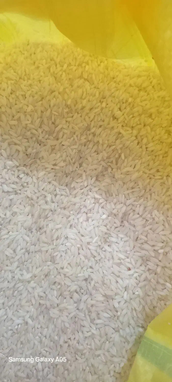 برنج عنبربو|خوردنی و آشامیدنی|دزفول, |دیوار