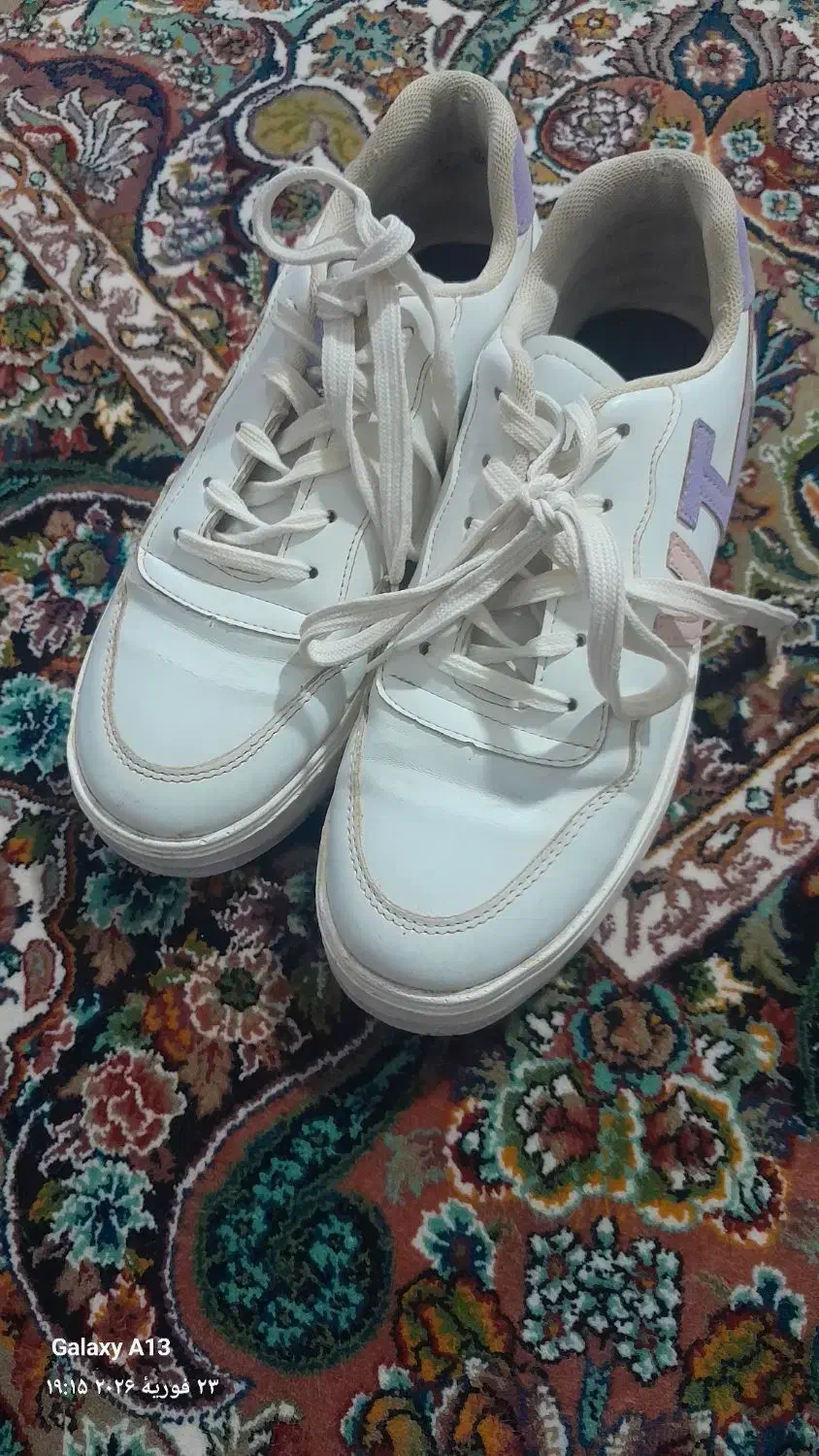 کفش زنانه|کیف، کفش، کمربند|اردبیل, |دیوار