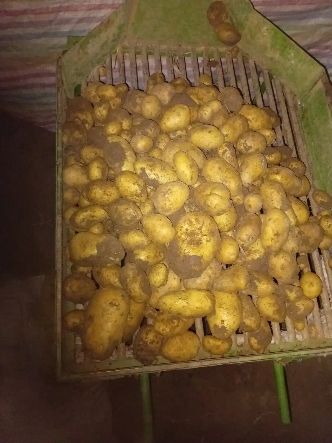 سیب زمینی لوکس ۲۵هزار|خوردنی و آشامیدنی|خاوه, |دیوار