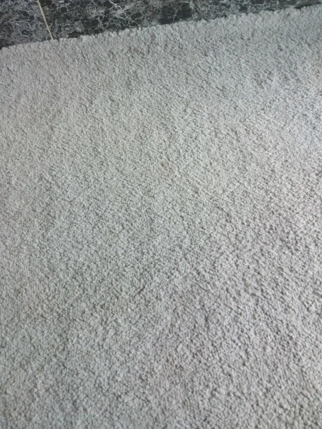 موکت پالاز|موکت|بندر کنگان, |دیوار