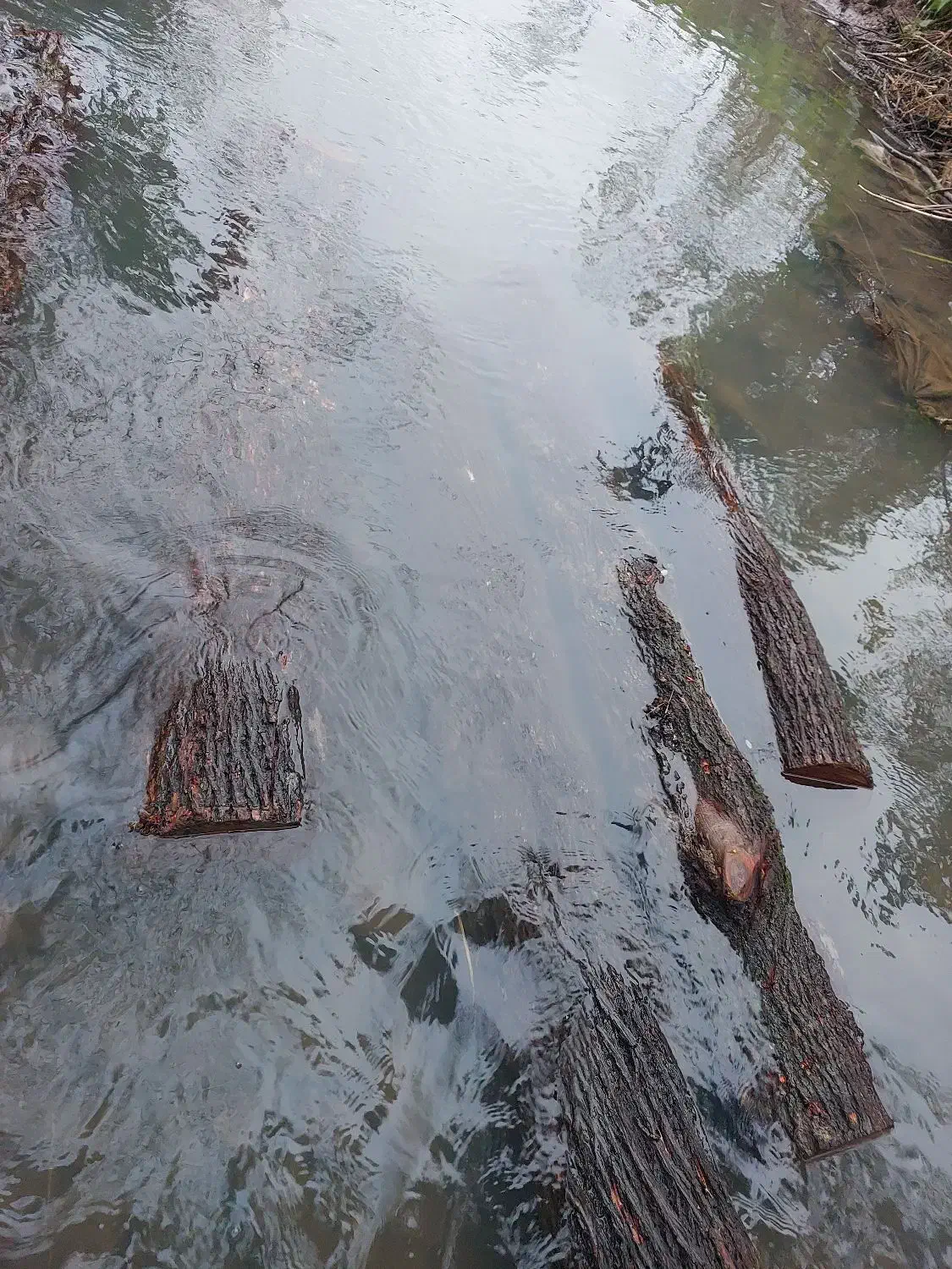 خرید و اخذ انواع چوب آلات جنگلی و باغی|خدمات باغبانی و درختکاری|کلاچای, |دیوار