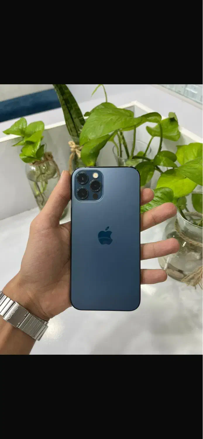 ایفون 12 پرو|موبایل|بوشهر, |دیوار