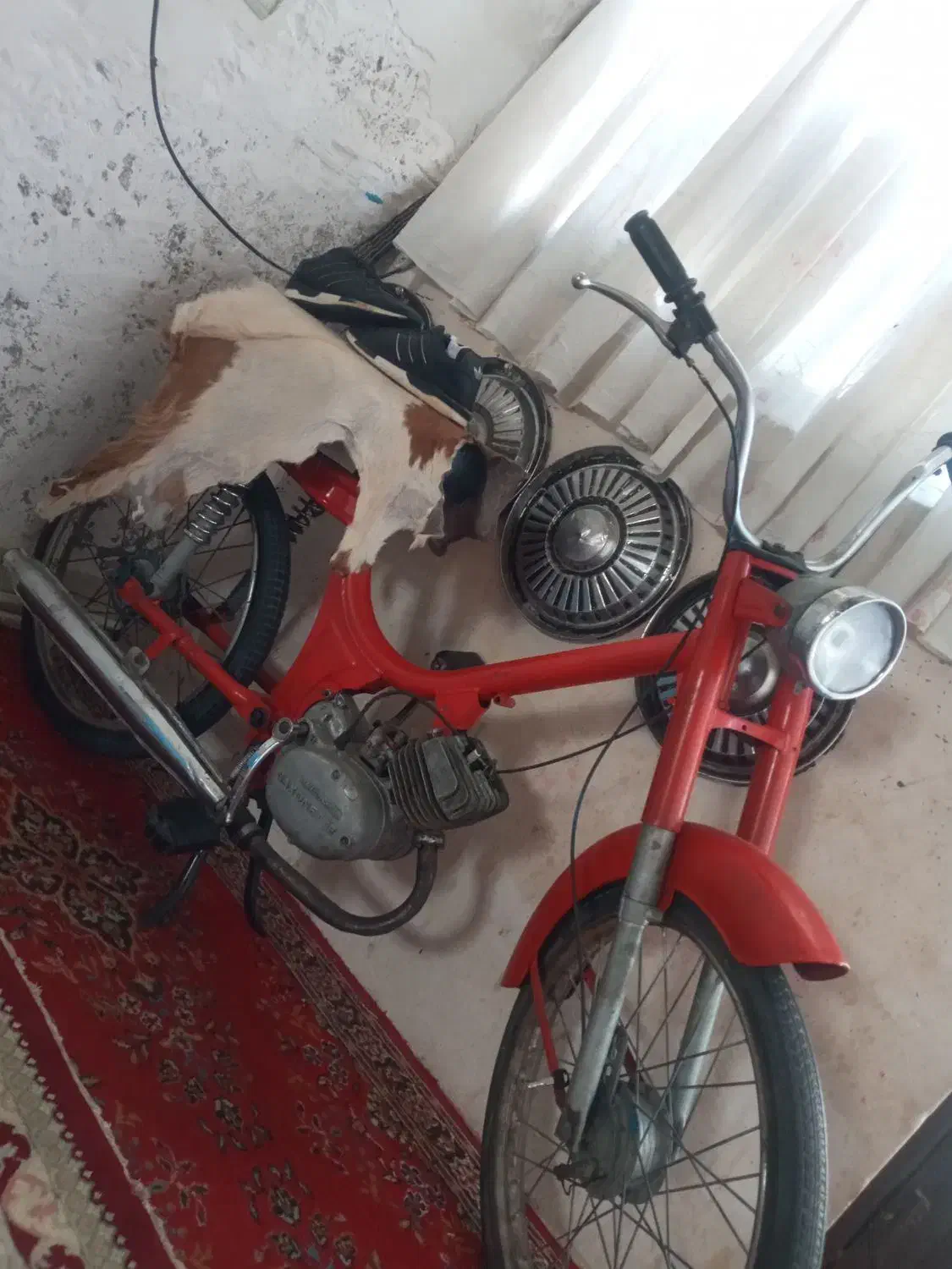 متورکلکسیونی|کلکسیون اشیاء عتیقه|ورامین, ورامین|دیوار