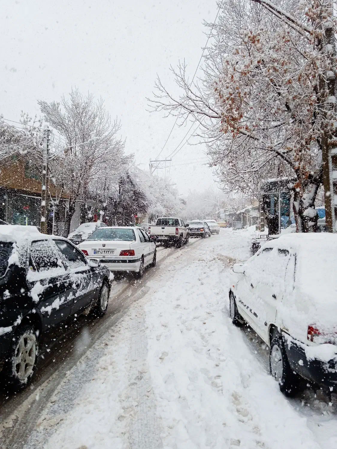 زمین|فروش زمین و ملک کلنگی|مبارکه, |دیوار