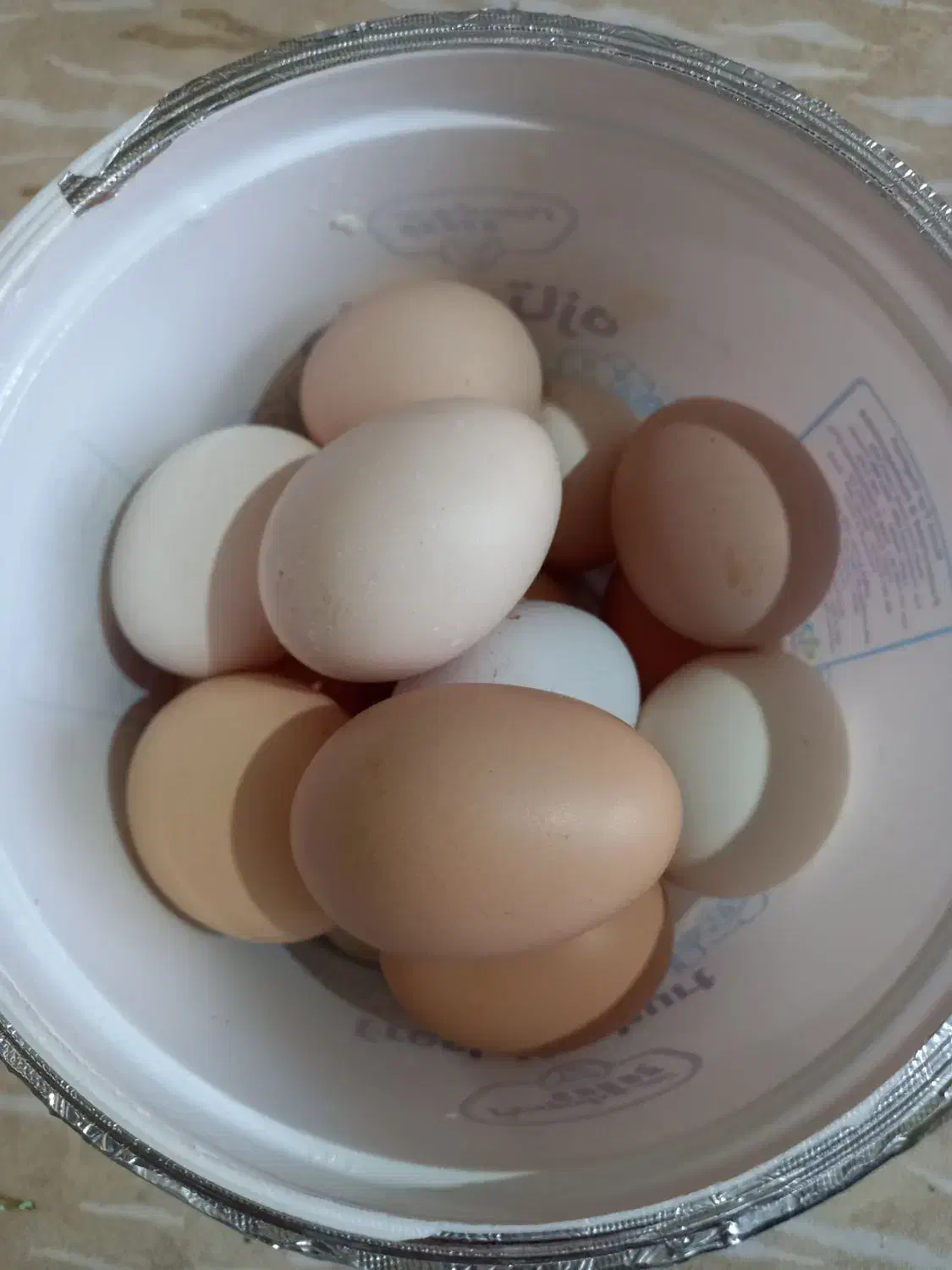 تخم مرغ نطفه دار|حیوانات مزرعه|خمینیشهر, |دیوار