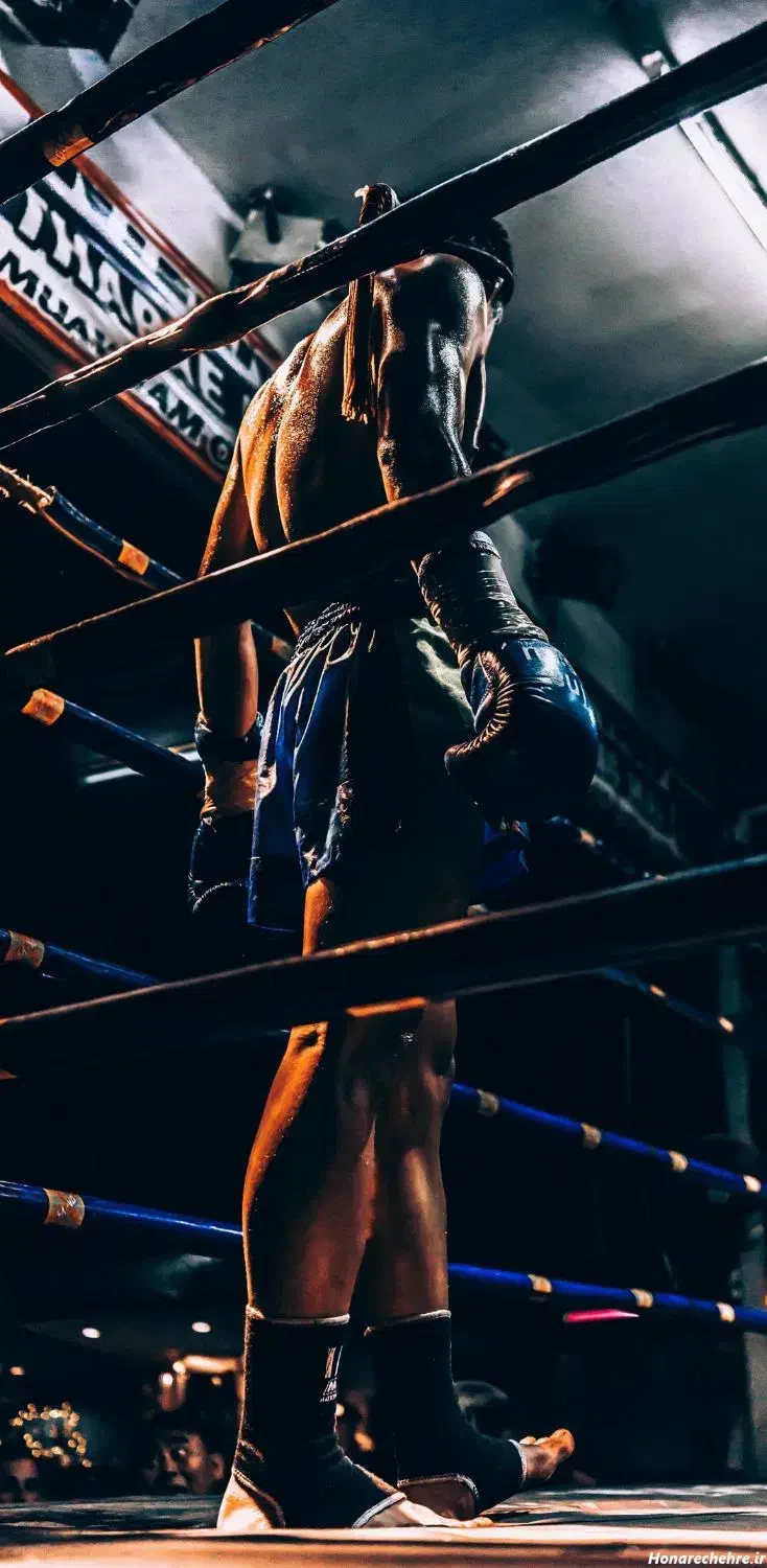 اموزش حرفه ای ورزش های رزمی|خدمات آموزشی|دماوند, گیلاوند|دیوار