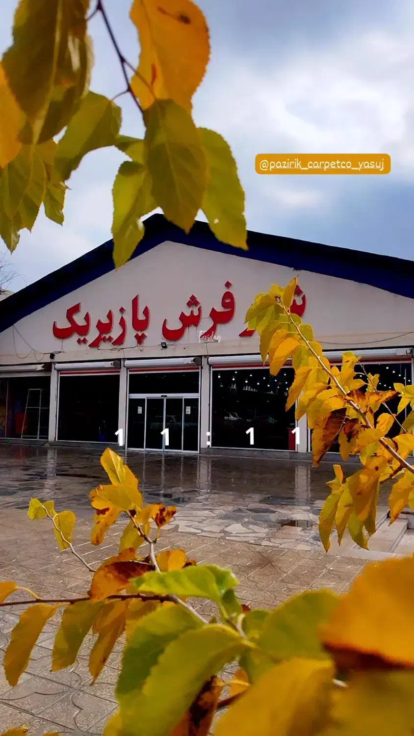 شهر فرش پازیریک|استخدام بازاریابی و فروش|یاسوج, |دیوار