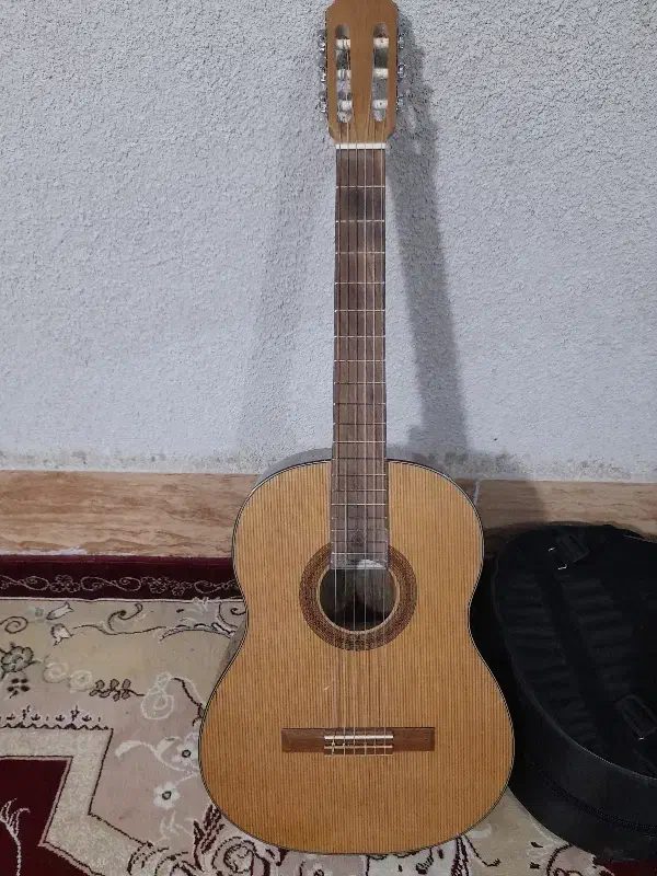 گیتار و کیف مخصوص گیتار|گیتار، بیس، امپلیفایر|بردسکن, |دیوار