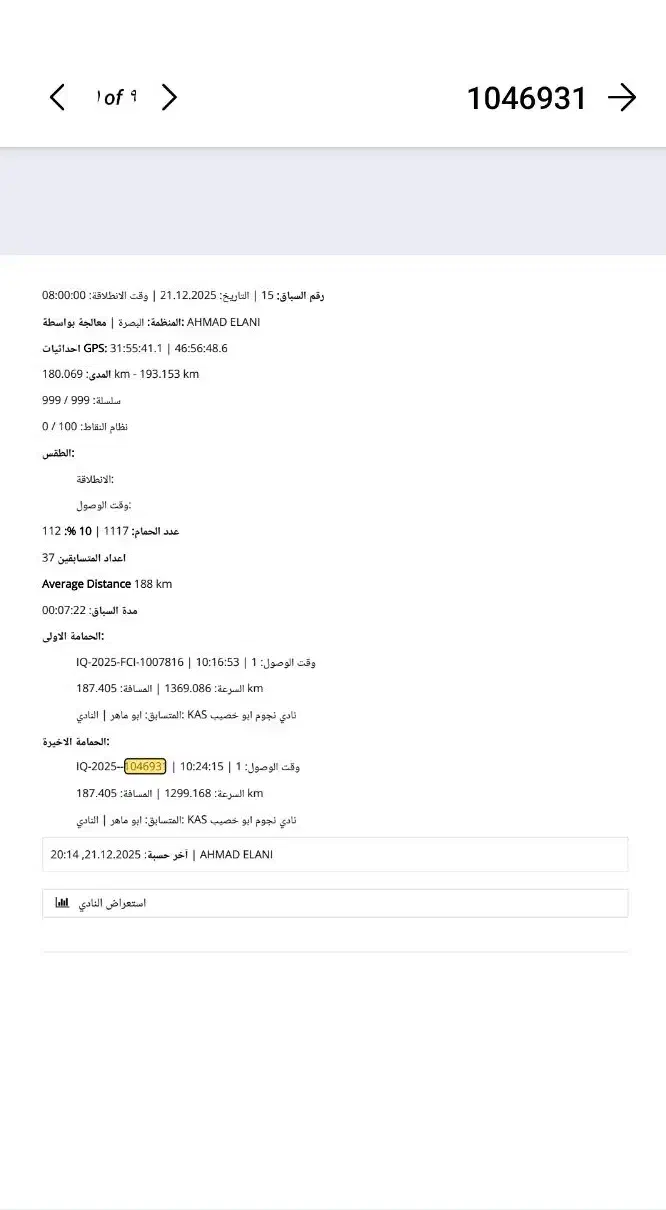 ماده عراق|پرنده|خرمشهر, |دیوار