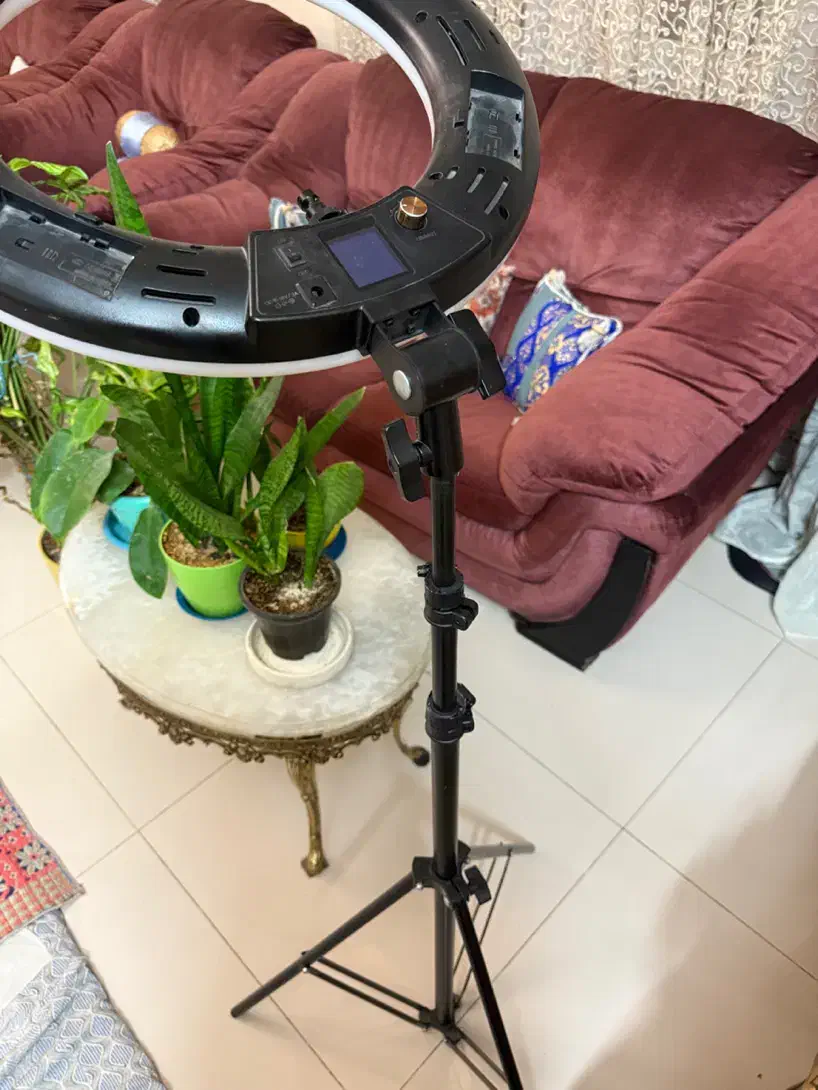 رینگ لایت Viltrox VL-600T|دوربین عکاسی و فیلم‌برداری|مشهد, اقبال|دیوار