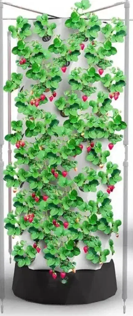 نیازمند سرمایه گذار در گلخانه هیدروپونیک مدرن|فعالیت داوطلبانه|تهران, پاسداران|دیوار