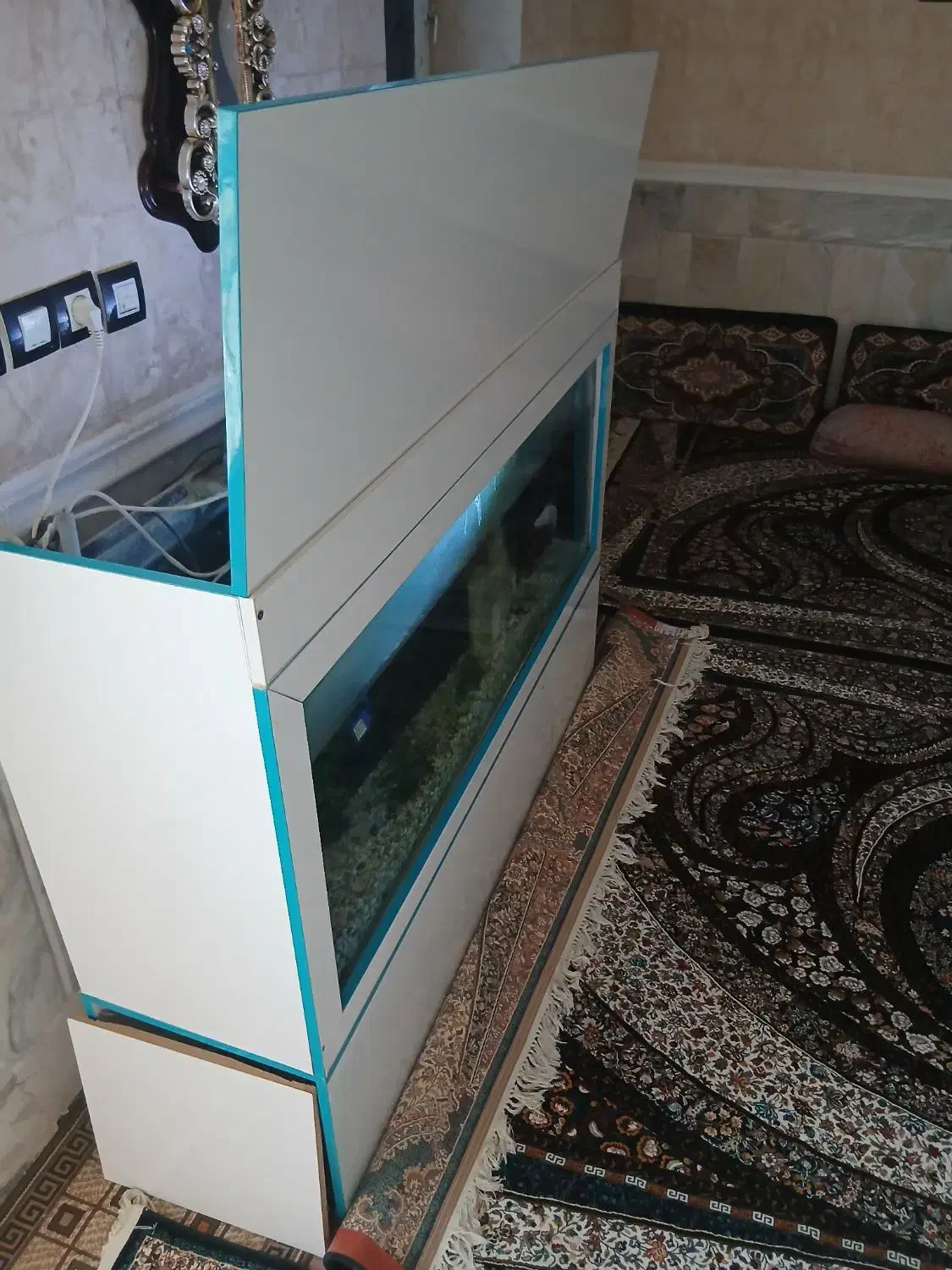 آکواریوم بزرگ|ماهی|زابل, |دیوار