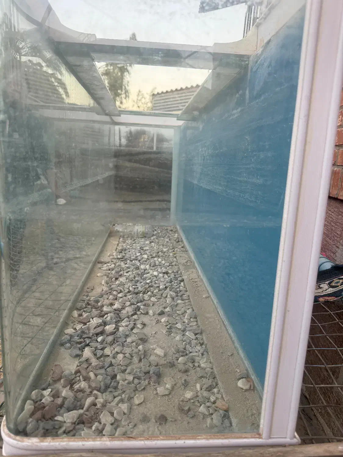 آکواریوم|ماهی|اهواز, کوی قائم|دیوار