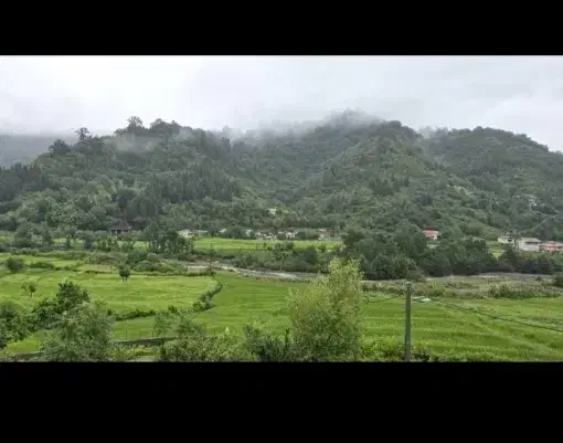 زمین 300 متر مسکونی کوهپایه جنگلی در شهر لیسار|فروش زمین و ملک کلنگی|لیسار, |دیوار