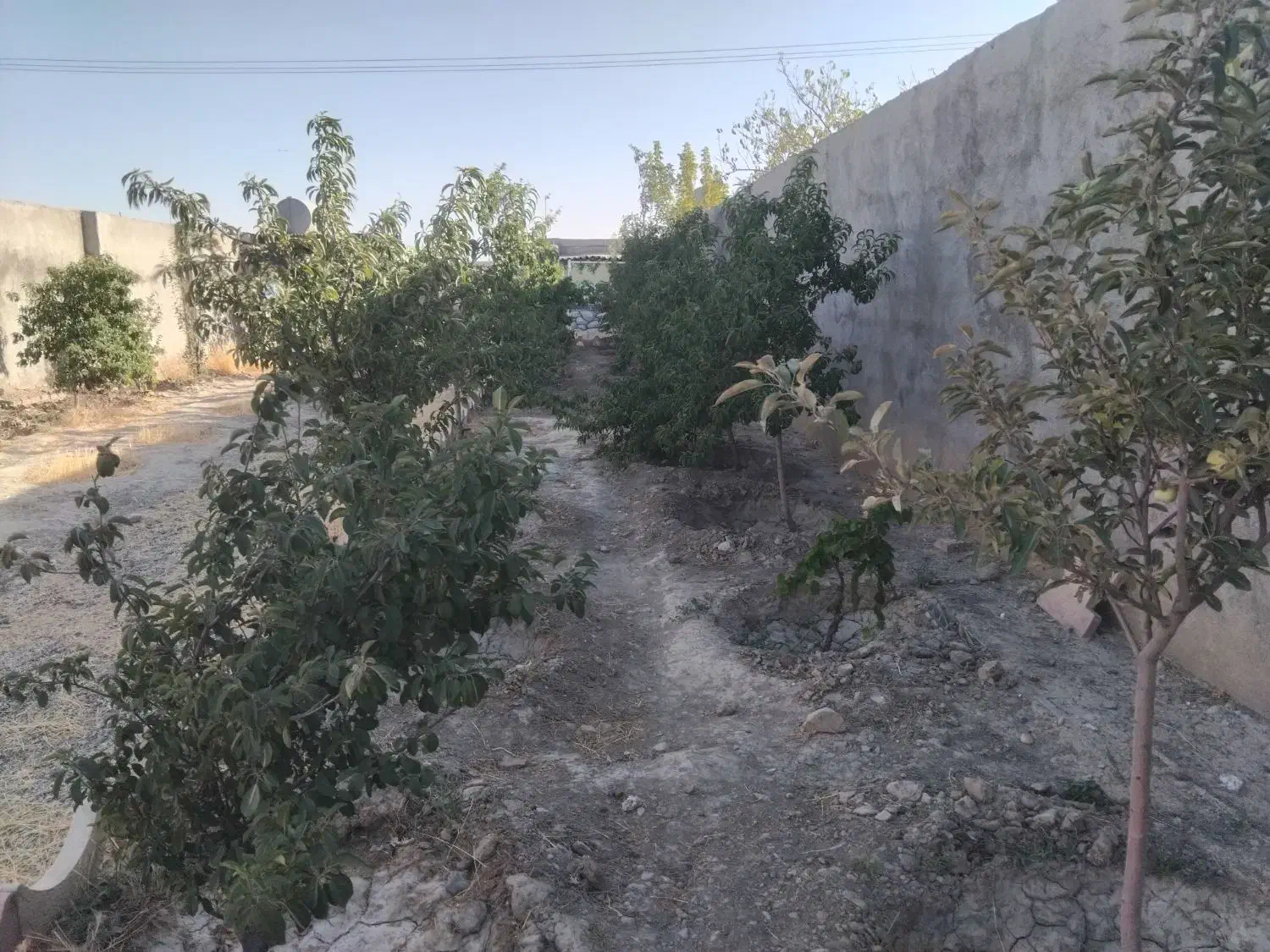 باغ معاوظه با آپارتمان سند دار ۳نیم میلیاردنقد|فروش خانه و ویلا|مشهد, کلاکوب|دیوار