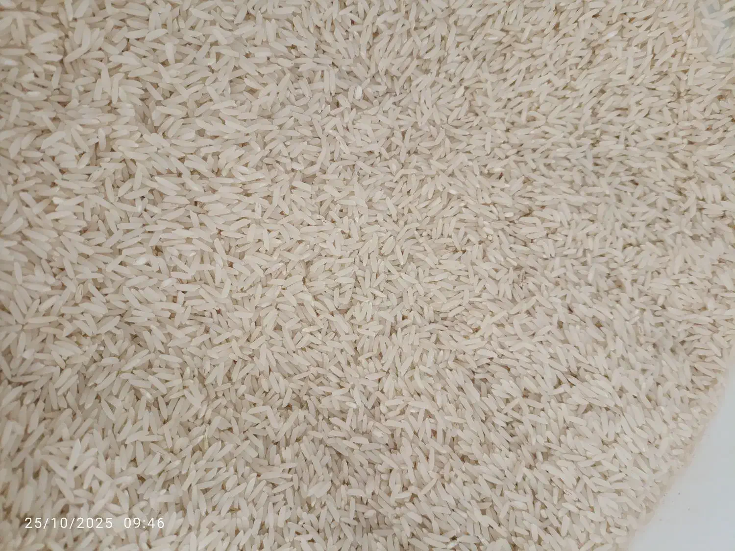 برنج مغان درجه یک|خوردنی و آشامیدنی|اردبیل, |دیوار