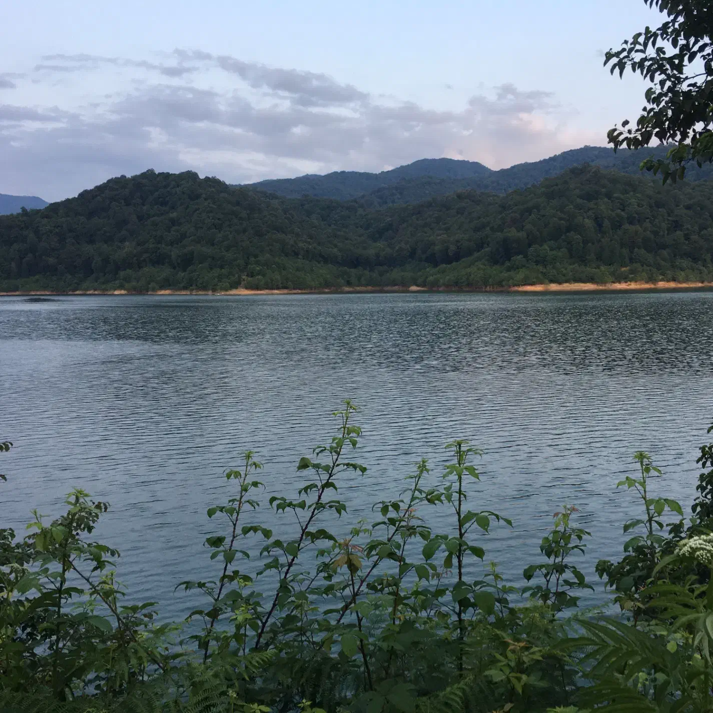 مشارکت در ساخت نیازمند سرمایه گذار|مشارکت در ساخت املاک|رشت, منظریه|دیوار