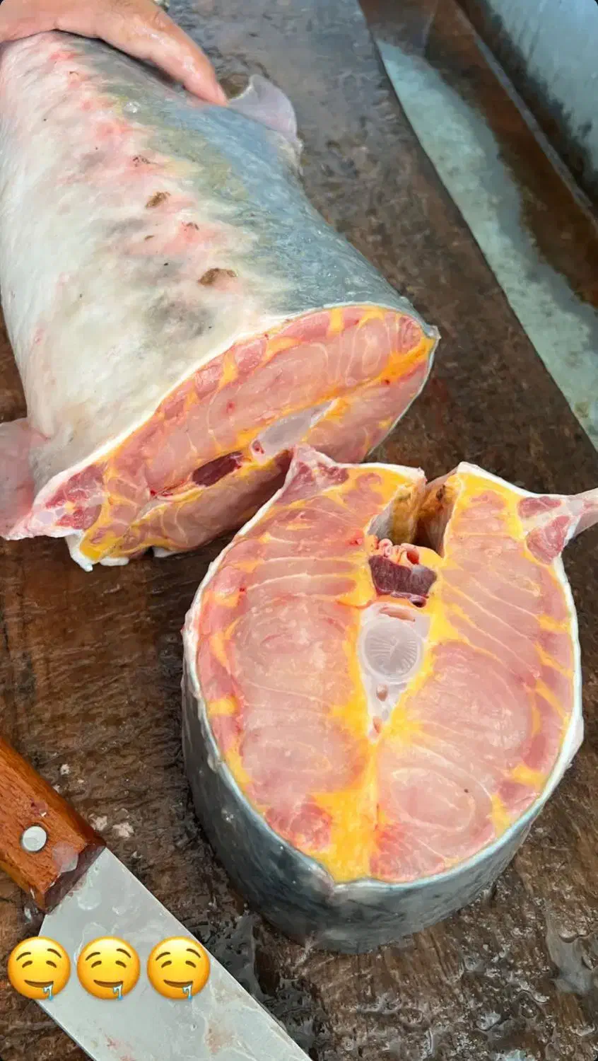 فروش ماهی|ماهی|شاهین دژ, |دیوار