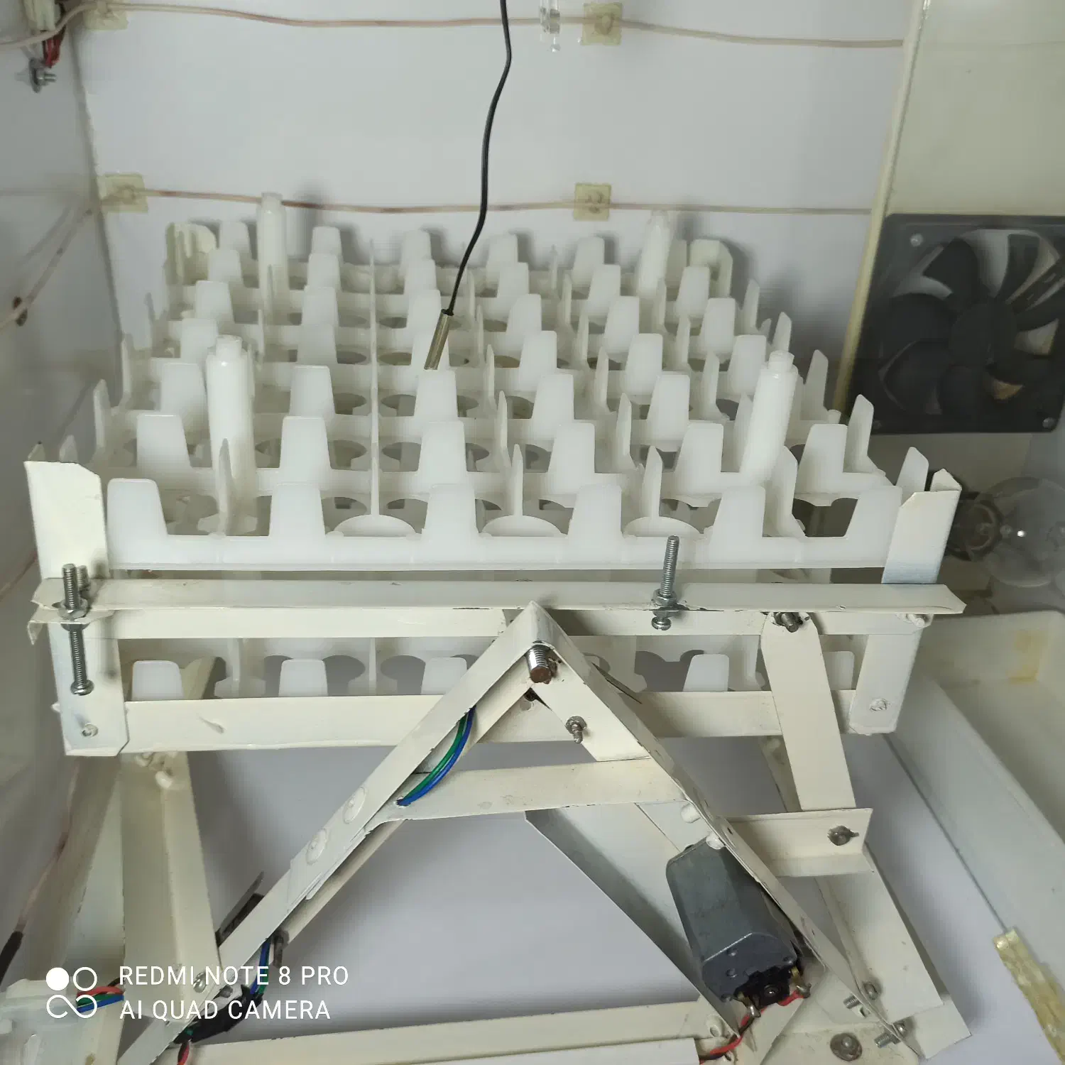 دستگاه جوجه کشی 72تایی تمام اتومات|لوازم جانبی حیوانات|شیراز, کوشک میدان|دیوار