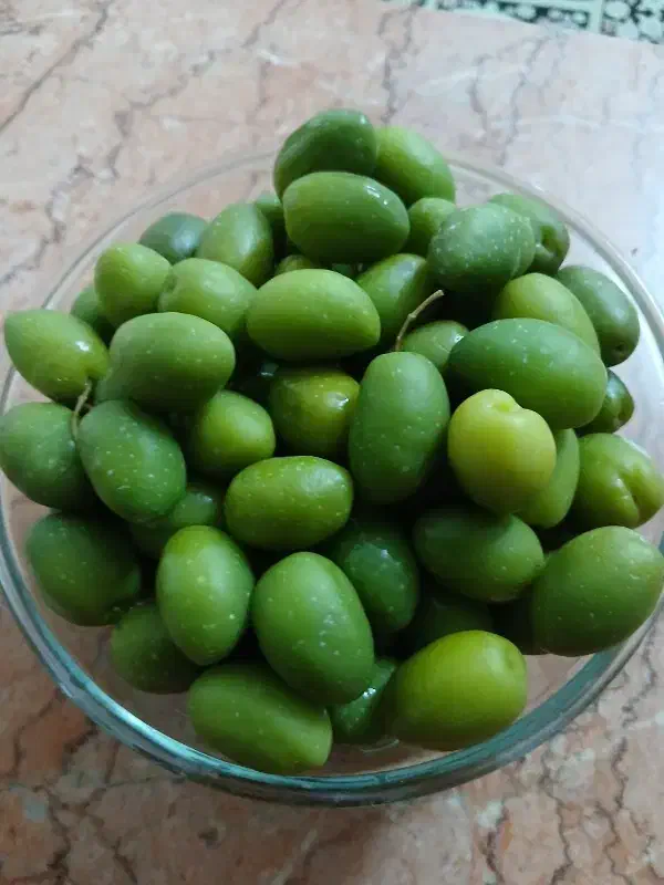 زیتون شور دزفول|خوردنی و آشامیدنی|شیراز, گلشن|دیوار