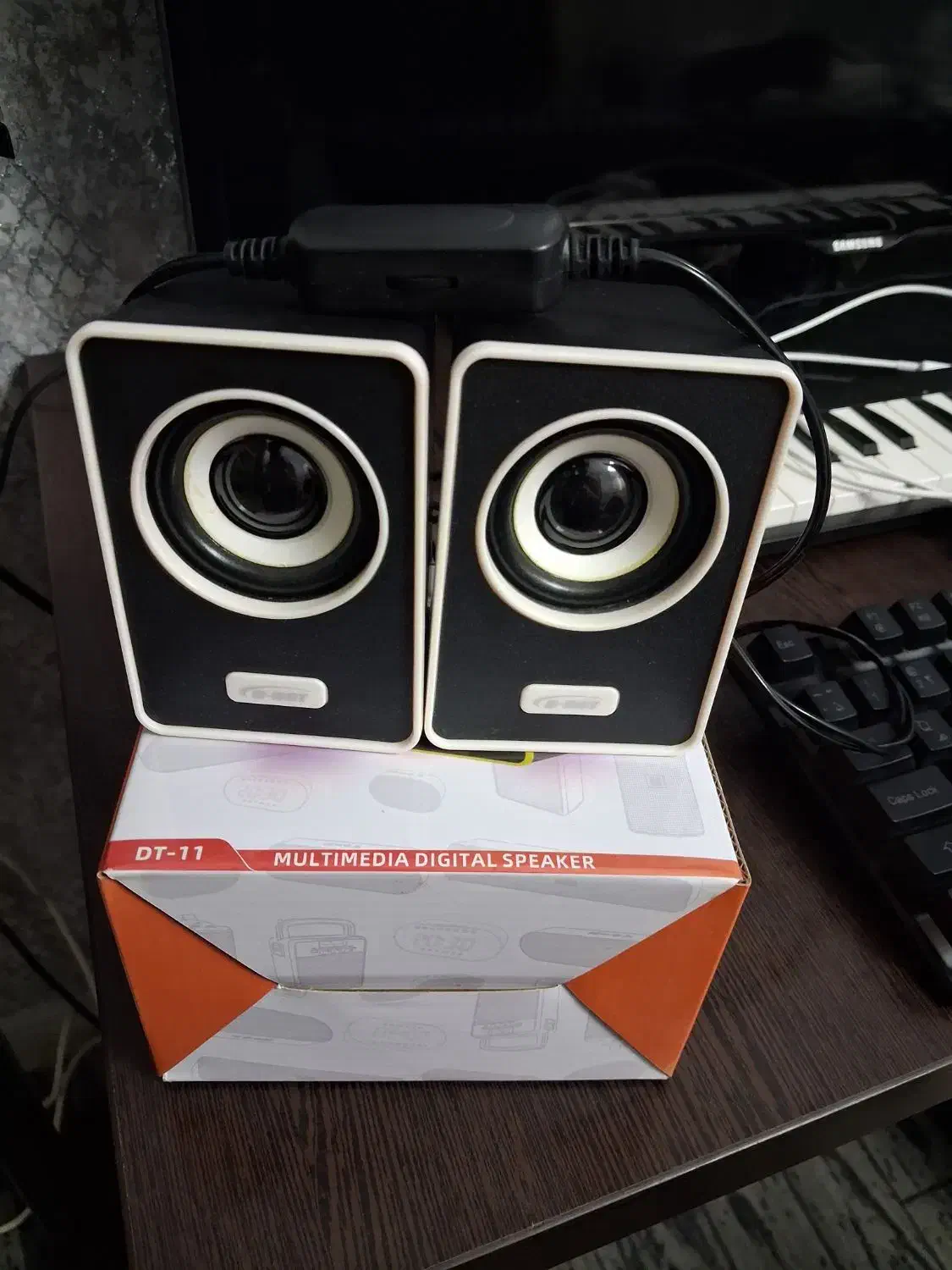 اسپیکر|سیستم صوتی خانگی|ساری, |دیوار