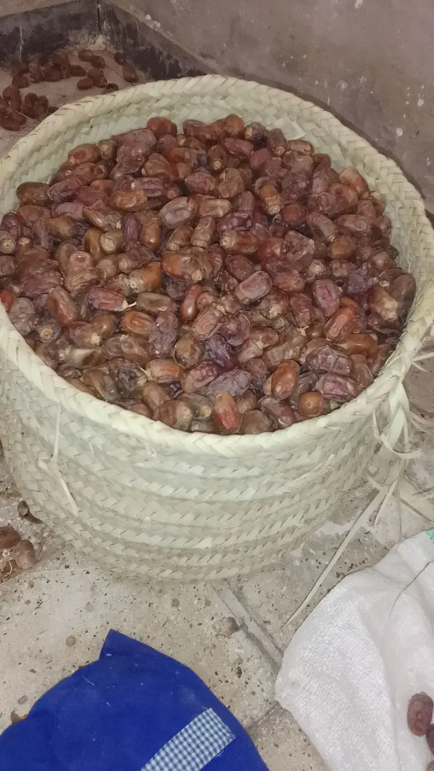 مجول|خوردنی و آشامیدنی|اهواز, شهرک توسعه نیشکر|دیوار