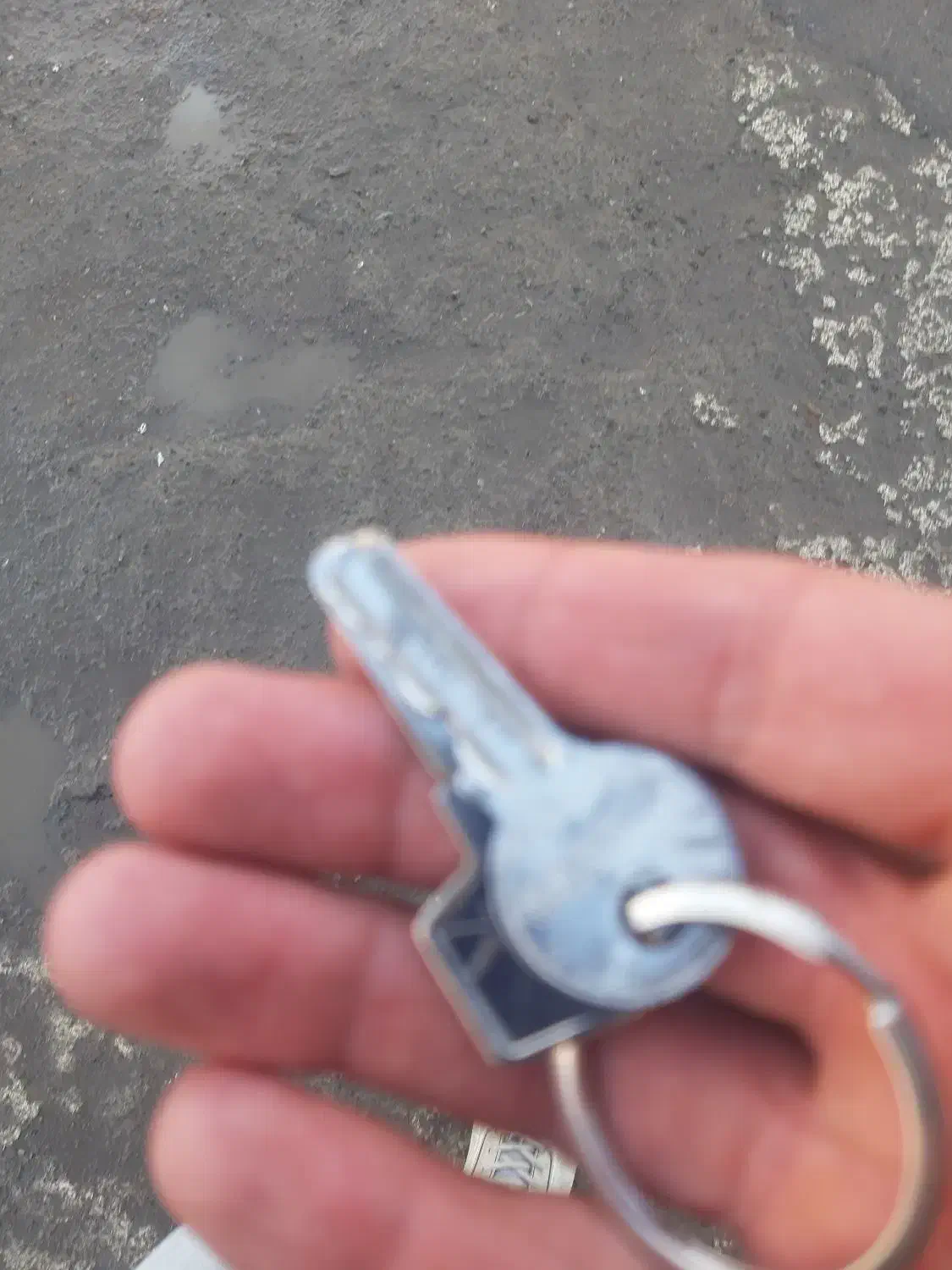 پیدا کردم|اشیا|مرند, |دیوار