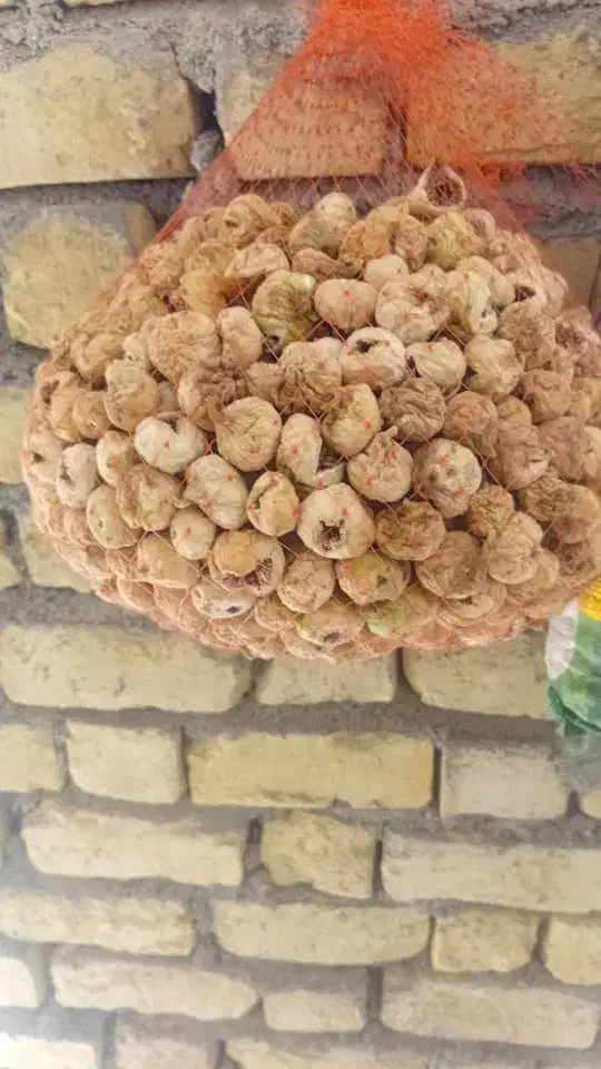 انجیر نرم تازه|خوردنی و آشامیدنی|مرودشت, کوشک|دیوار