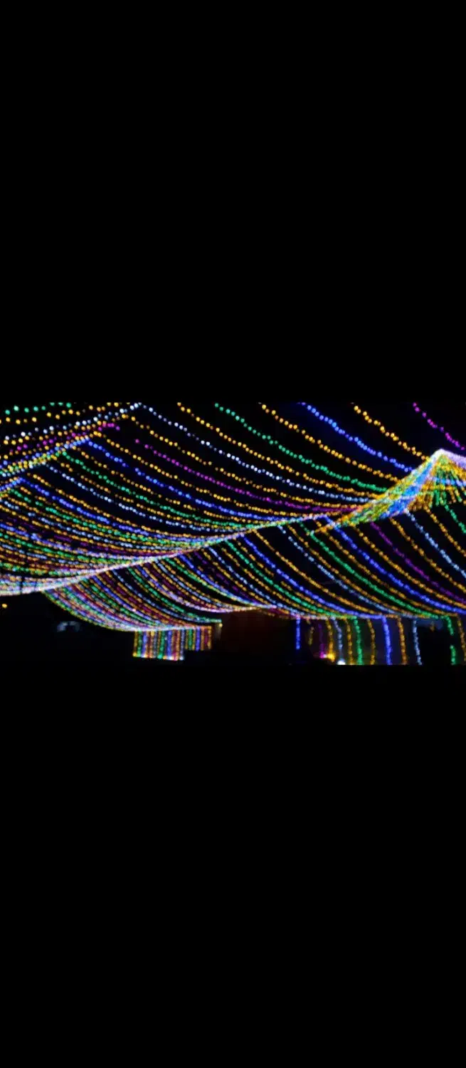 نورپردازی و ریسه ونوس|ریسه و چراغ تزئینی|بندرعباس, |دیوار