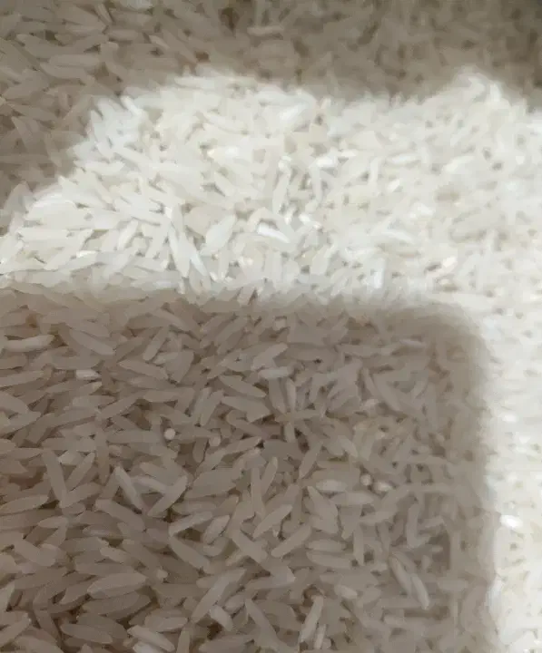 سوزنی|حراج|خان ببین, |دیوار