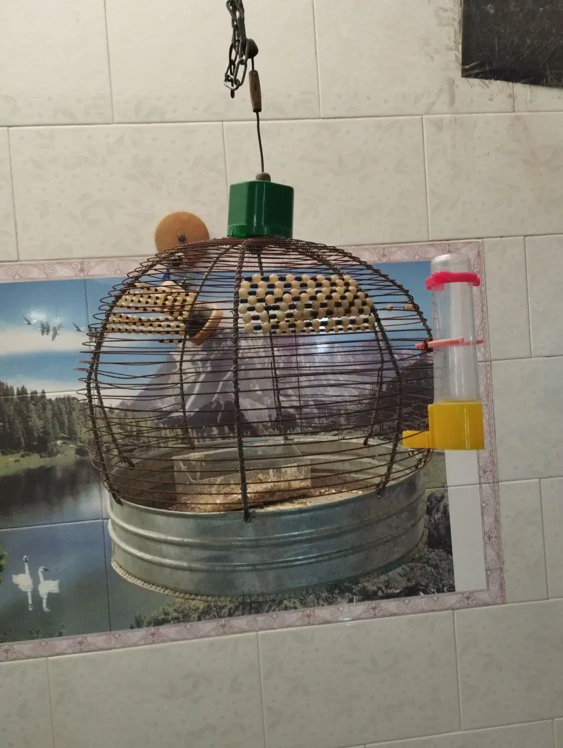 قفس طرقه|لوازم جانبی حیوانات|مرودشت, شهرک مهدیه|دیوار