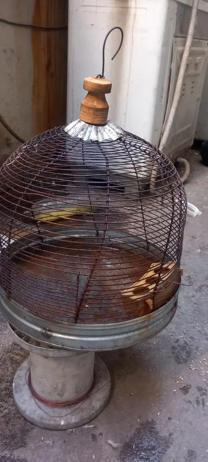 قفس پرنده|لوازم جانبی حیوانات|شیراز, شهرک صنعتی شیراز|دیوار