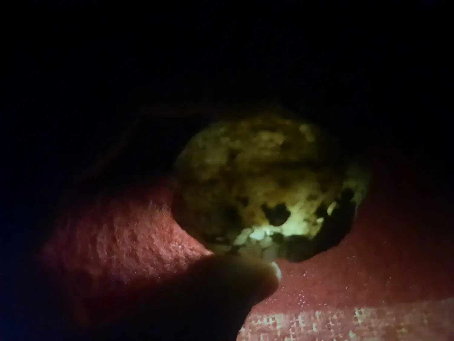 سنگ قیمتی|کلکسیون اشیاء عتیقه|سنندج, |دیوار